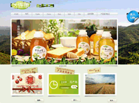 阜阳食品公司网站建设设计