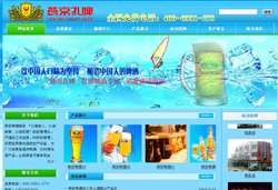 阜阳燕京啤酒网站建设推广上线